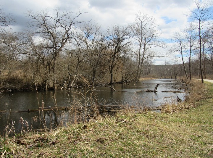 Herp Habitat